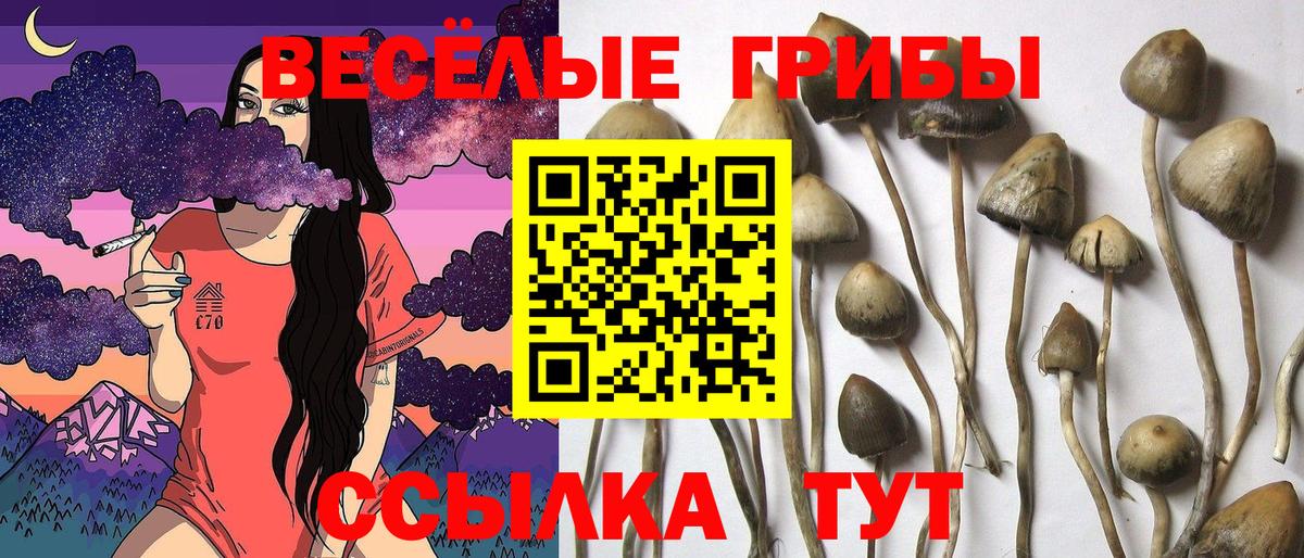 Псилоцибиновые грибы мухоморы  Галлюциногенные грибы мухоморы  Вход с VPN  Муром 